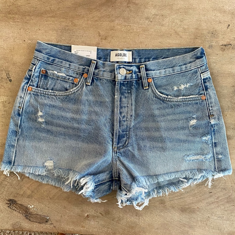 AGOLDE Parker Vintage Cut Off Shorts Swampmeet